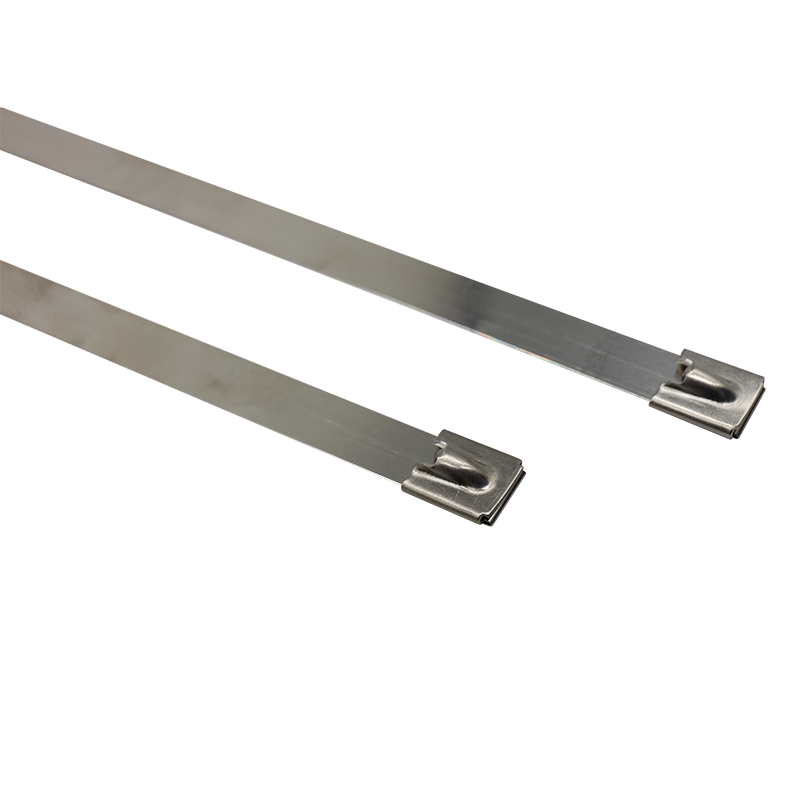 Corrosion Resistant Cable Tie Corrosion Resistant Cable Tie